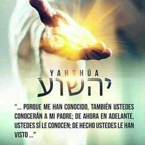 Meet your Posher, Oscar